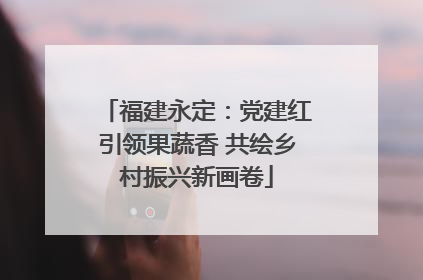 福建永定：党建红引领果蔬香 共绘乡村振兴新画卷