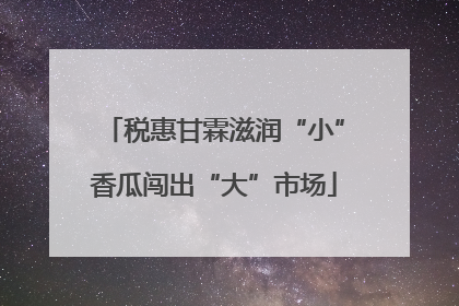 税惠甘霖滋润“小”香瓜闯出“大”市场