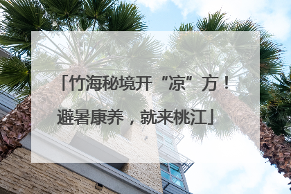 竹海秘境开“凉”方！避暑康养，就来桃江