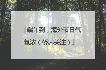 端午到，海外节日气氛浓（侨界关注）