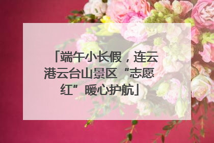 端午小长假，连云港云台山景区“志愿红”暖心护航