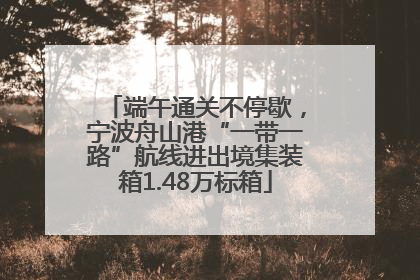 端午通关不停歇，宁波舟山港“一带一路”航线进出境集装箱1.48万标箱