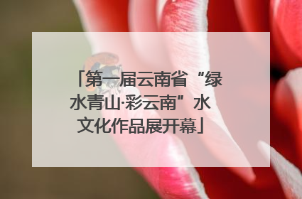 第一届云南省“绿水青山·彩云南”水文化作品展开幕