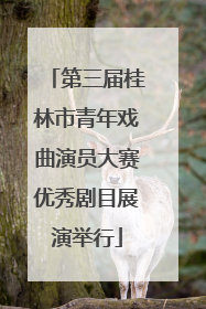 第三届桂林市青年戏曲演员大赛优秀剧目展演举行