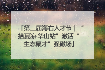 第三届海右人才节｜“拾夏凉·华山站”激活“生态聚才”强磁场