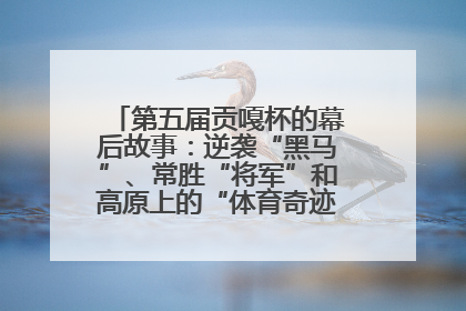 第五届贡嘎杯的幕后故事：逆袭“黑马”、常胜“将军”和高原上的“体育奇迹”丨微纪录
