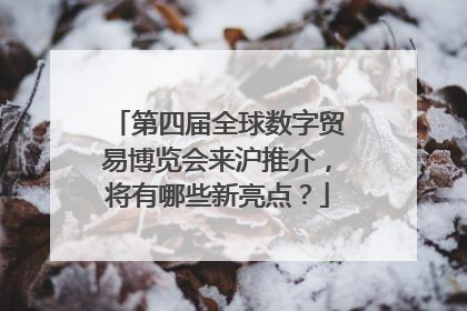 第四届全球数字贸易博览会来沪推介，将有哪些新亮点？