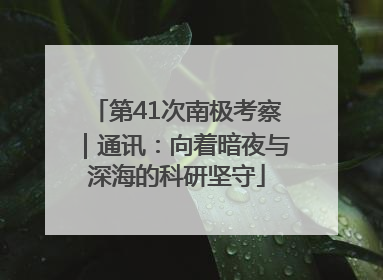 第41次南极考察｜通讯：向着暗夜与深海的科研坚守