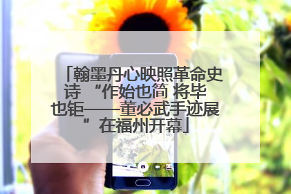 翰墨丹心映照革命史诗 “作始也简 将毕也钜——董必武手迹展”在福州开幕