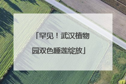 罕见！武汉植物园双色睡莲绽放