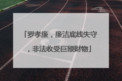 罗孝廉，廉洁底线失守，非法收受巨额财物