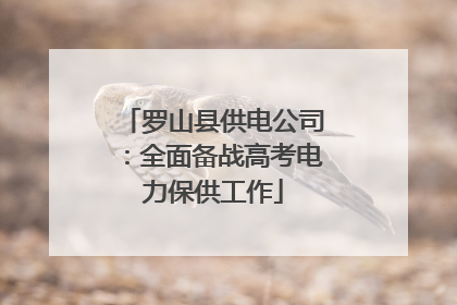 罗山县供电公司：全面备战高考电力保供工作