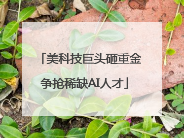 美科技巨头砸重金争抢稀缺AI人才