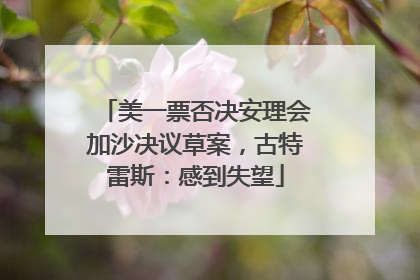 美一票否决安理会加沙决议草案，古特雷斯：感到失望