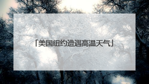 美国纽约遭遇高温天气