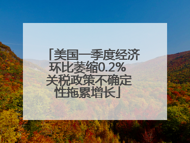 美国一季度经济环比萎缩0.2% 关税政策不确定性拖累增长