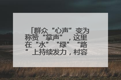 群众“心声”变为称赞“掌声”，这里在“水”“绿”“路”上持续发力，村容村貌焕然一新