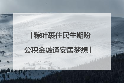 粽叶裹住民生期盼 公积金融通安居梦想