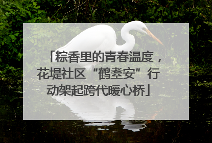 粽香里的青春温度，花堤社区“鹤耋安”行动架起跨代暖心桥