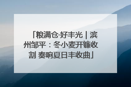 粮满仓·好丰光｜滨州邹平：冬小麦开镰收割 奏响夏日丰收曲