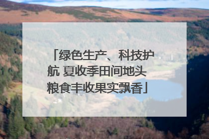 绿色生产、科技护航 夏收季田间地头粮食丰收果实飘香