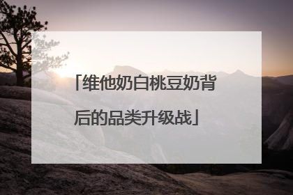 维他奶白桃豆奶背后的品类升级战