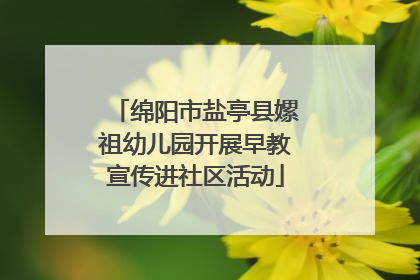 绵阳市盐亭县嫘祖幼儿园开展早教宣传进社区活动