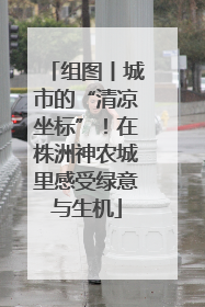 组图丨城市的“清凉坐标”！在株洲神农城里感受绿意与生机