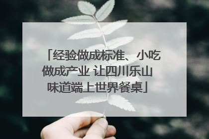 经验做成标准、小吃做成产业 让四川乐山味道端上世界餐桌