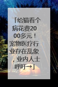 给猫看个病花费2000多元！宠物医疗行业存在乱象，业内人士呼吁→