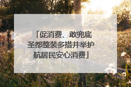 促消费、敢兜底 圣都整装多措并举护航居民安心消费