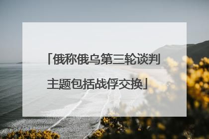 俄称俄乌第三轮谈判主题包括战俘交换
