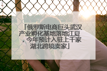 俄罗斯电商巨头武汉产业孵化基地落地江夏，今年预计入驻上千家湖北跨境卖家
