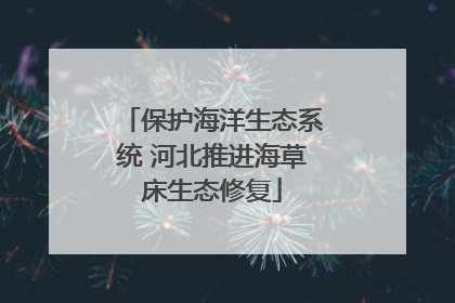 保护海洋生态系统 河北推进海草床生态修复