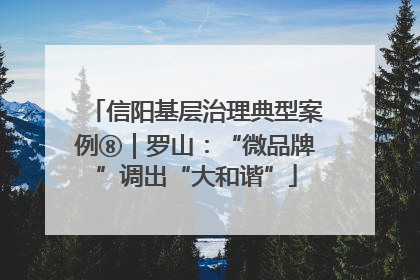 信阳基层治理典型案例⑧｜罗山：“微品牌”调出“大和谐”