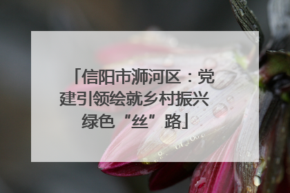 信阳市浉河区：党建引领绘就乡村振兴绿色“丝”路