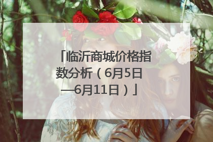 临沂商城价格指数分析（6月5日—6月11日）