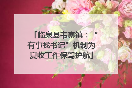 临泉县韦寨镇：“有事找书记”机制为夏收工作保驾护航