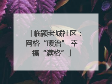 临颍老城社区：网格“暖治” 幸福“满格”