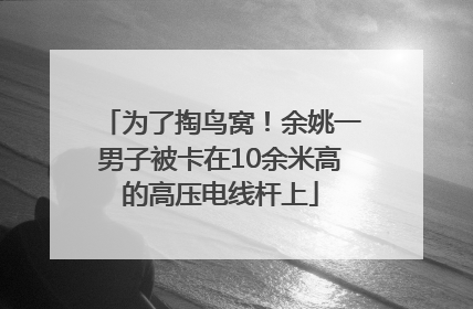 为了掏鸟窝！余姚一男子被卡在10余米高的高压电线杆上
