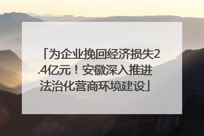 为企业挽回经济损失2.4亿元！安徽深入推进法治化营商环境建设