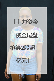 主力资金｜资金尾盘抢筹2股超亿元