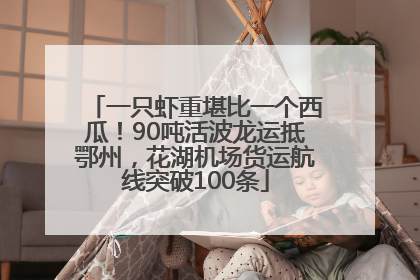 一只虾重堪比一个西瓜！90吨活波龙运抵鄂州，花湖机场货运航线突破100条