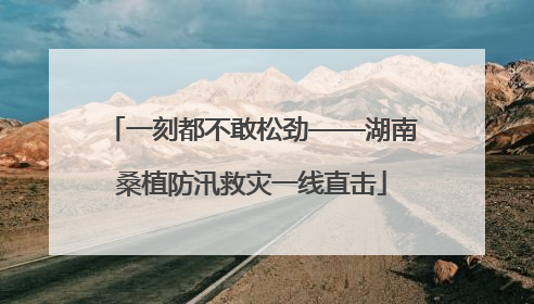 一刻都不敢松劲——湖南桑植防汛救灾一线直击