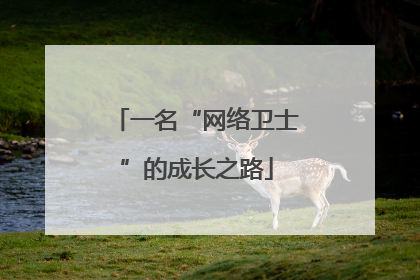 一名“网络卫士”的成长之路
