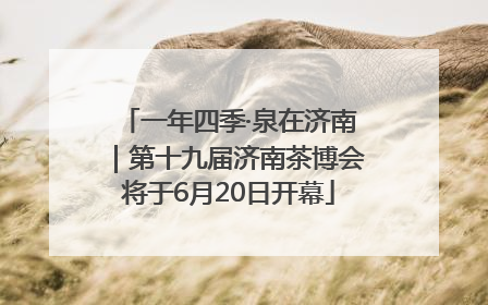 一年四季·泉在济南｜第十九届济南茶博会将于6月20日开幕
