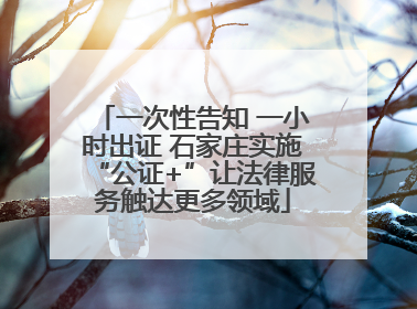 一次性告知 一小时出证 石家庄实施“公证+”让法律服务触达更多领域