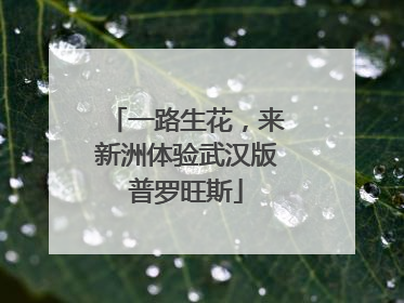 一路生花，来新洲体验武汉版普罗旺斯