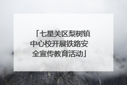 七星关区梨树镇中心校开展铁路安全宣传教育活动