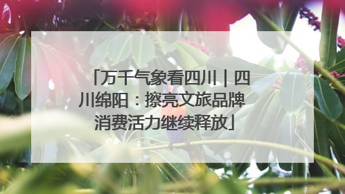 万千气象看四川｜四川绵阳：擦亮文旅品牌 消费活力继续释放